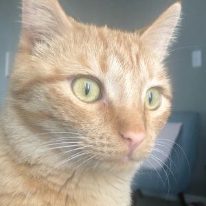 Meet your Posher, Diana